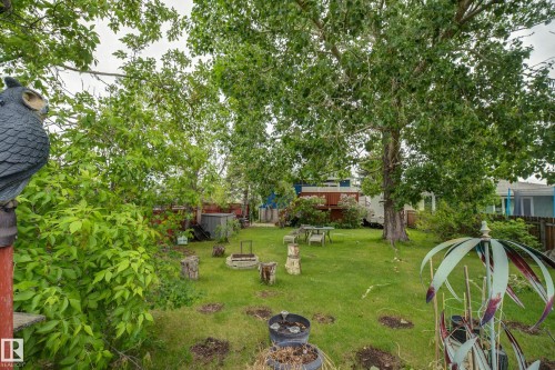 Expansive green lawn with mature trees and perimeter shrubbery - 4823 10 Avenue, Edmonton, AB 