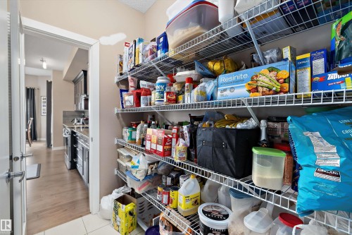 Pantry with multiple levels of wire shelving, providing ample storage capacity - 1586 Chapman Way, Edmonton, AB - Indoor