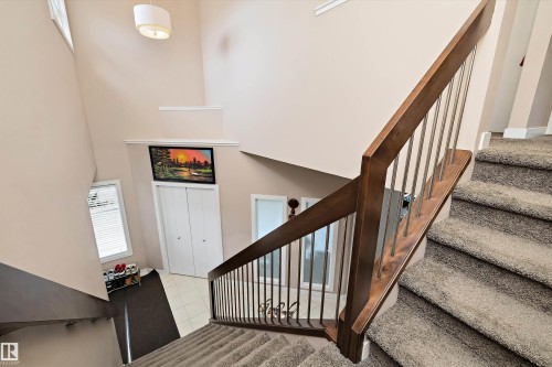 Carpeted staircase with dark wood handrail and metal balusters - 1586 Chapman Way, Edmonton, AB - Indoor Photo Showing Other Room