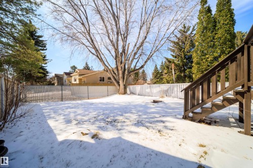 Expansive backyard featuring a large mature tree, wood fencing along one side, and a chain-link fence - 5303 21 Avenue, Edmonton, AB - Outdoor