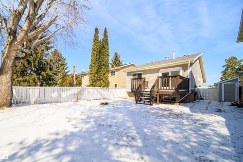 Rear exterior featuring a spacious wood deck with stairs, a white picket fence, a dedicated storage shed, and mature trees outlining the property - 5303 21 Avenue, Edmonton, AB - Outdoor