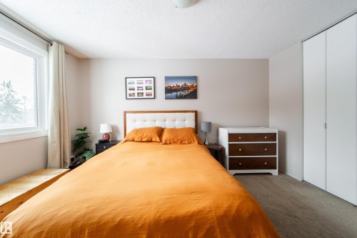Bedroom featuring a large window, light-colored walls, ceiling-mounted light fixture, and carpet flooring - 220 14819 51 Avenue, Edmonton, AB - Indoor Photo Showing Bedroom