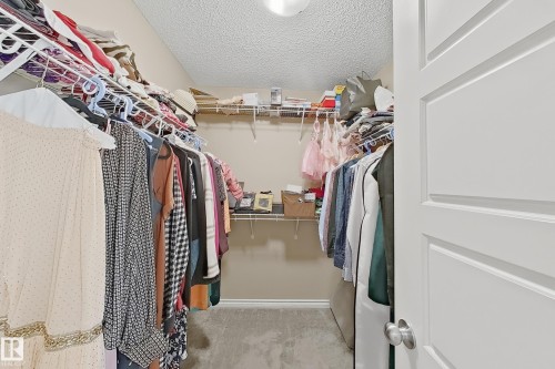 Walk-in closet featuring carpet flooring, built-in wire shelving, and neutral wall paint - 3609 Weidle Bend Bend, Edmonton, AB - Indoor With Storage
