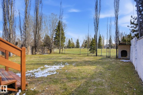 Expansive backyard featuring a large grassy area, mature trees, chain link fencing, and a built-in outdoor structure - 2251 Brennan Court, Edmonton, AB - Outdoor With View
