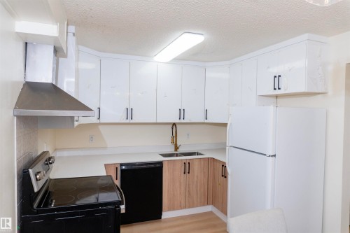 14017 121 Street, Edmonton, AB - Indoor Photo Showing Kitchen With Double Sink