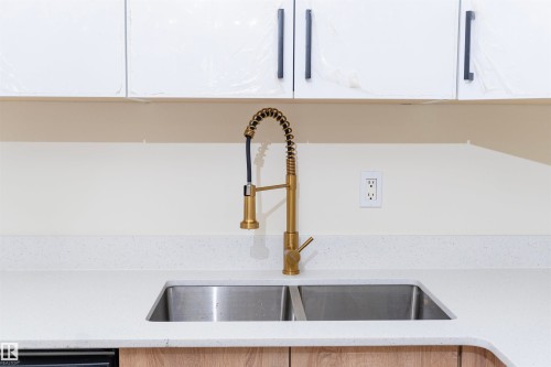 14017 121 Street, Edmonton, AB - Indoor Photo Showing Kitchen With Double Sink