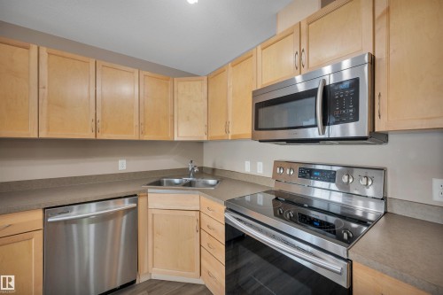 238 2096 Blackmud Creek Drive, Edmonton, AB - Indoor Photo Showing Kitchen With Double Sink