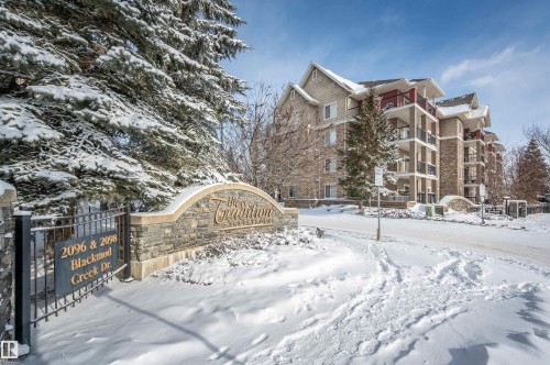 238 2096 Blackmud Creek Drive, Edmonton, AB - Outdoor