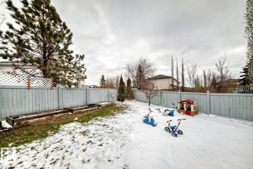Expansive backyard featuring a full perimeter fence, mature evergreen tree, and multiple built-in planter boxes - 715 Hudson Place, Edmonton, AB - Outdoor