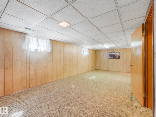 12245 96 Street, Edmonton, AB - Indoor Photo Showing Basement