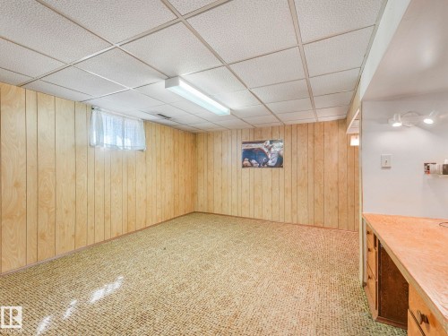 12245 96 Street, Edmonton, AB - Indoor Photo Showing Basement