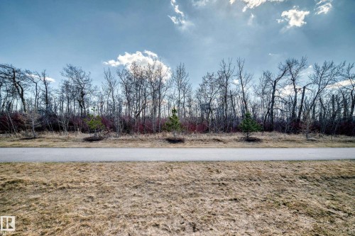6259 175 Avenue, Edmonton, AB - Outdoor With View