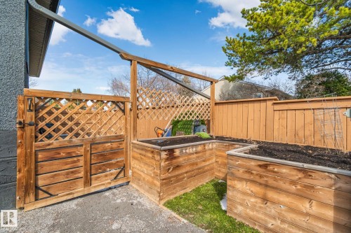 Backyard area featuring multiple raised garden beds, a wooden privacy fence, and a gate with lattice detailing - 13635 108 Avenue, Edmonton, AB - Outdoor