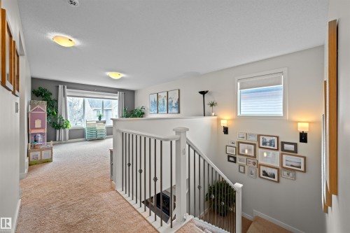12927 202 Street, Edmonton, AB - Indoor Photo Showing Other Room