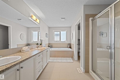 12927 202 Street, Edmonton, AB - Indoor Photo Showing Bathroom