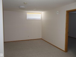 Neutral-toned carpeting and light-colored walls define this room - 