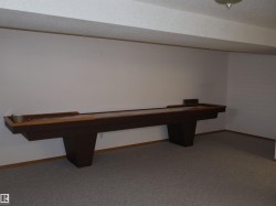 Spacious recreation room featuring a built-in shuffleboard, neutral carpeting, and white painted walls - 