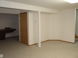Open finished space featuring light-toned carpet flooring, light-colored walls, and wood trim - 
