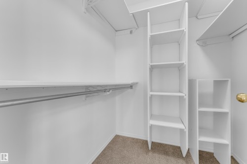 Walk-in closet featuring white walls, textured carpeting, built-in shelving, and a chrome hanging rod - 4103 37A Avenue, Edmonton, AB - Indoor With Storage