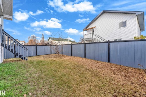 Private backyard featuring a full privacy fence, established grass, and a young deciduous tree - 4103 37A Avenue, Edmonton, AB - Outdoor