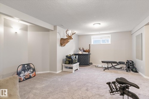 40 Dunfield Crescent, St. Albert, AB - Indoor Photo Showing Gym Room