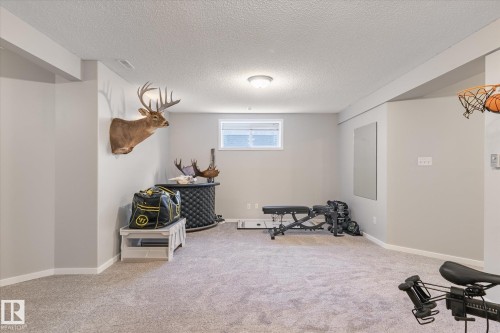 40 Dunfield Crescent, St. Albert, AB - Indoor Photo Showing Gym Room