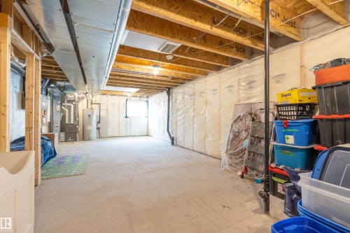 330 Edgemont Drive, Edmonton, AB - Indoor Photo Showing Basement