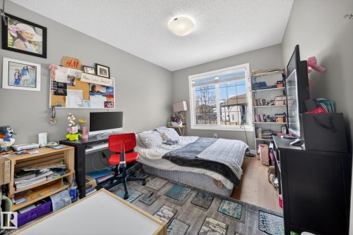 Bedroom with light gray walls, wood-finish flooring, a white-framed window, and a flush-mount ceiling light fixture - 3639 15A Street, Edmonton, AB - Indoor Photo Showing Bedroom