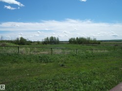 Expansive open land featuring green vegetation and distant treelines - 