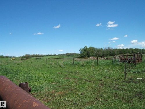 Expansive green pasture with a backdrop of mature trees - 123064 Hwy 45, Rural Two Hills County, AB 