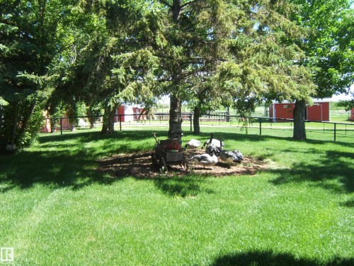 Expansive lawn area featuring mature trees providing natural shade - 123064 Hwy 45, Rural Two Hills County, AB 