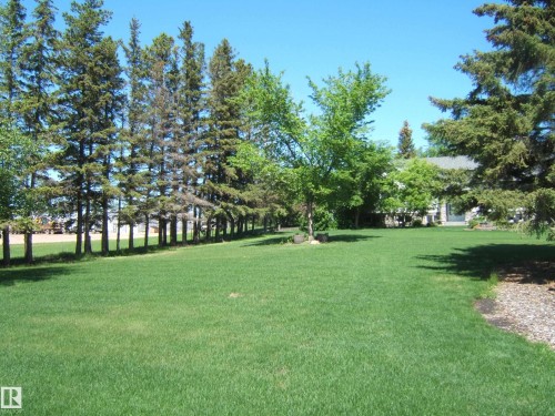 Expansive green lawn with mature evergreen trees bordering one side - 123064 Hwy 45, Rural Two Hills County, AB 