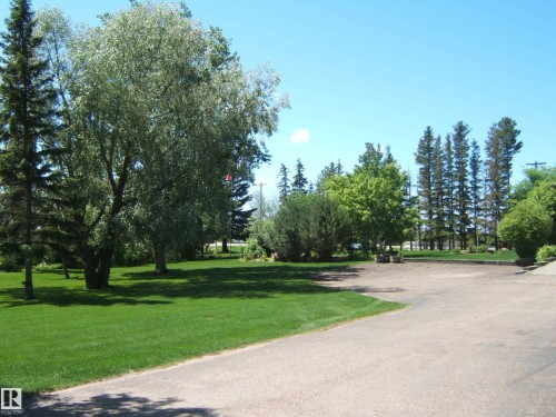 Expansive green lawn with mature trees and a paved driveway - 123064 Hwy 45, Rural Two Hills County, AB 