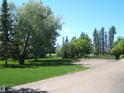 Expansive green lawn with mature trees and a paved driveway - 