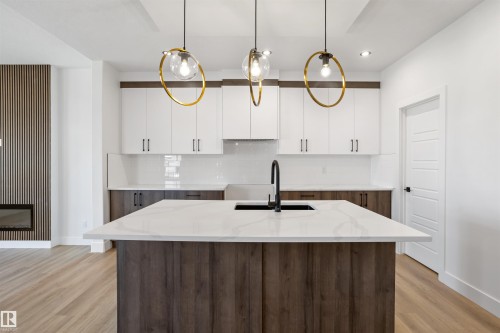 203 Basin Court, Leduc, AB - Indoor Photo Showing Kitchen With Upgraded Kitchen