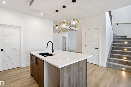 203 Basin Court, Leduc, AB - Indoor Photo Showing Kitchen With Double Sink