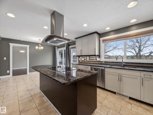 82 Mission Avenue, St. Albert, AB - Indoor Photo Showing Kitchen With Double Sink