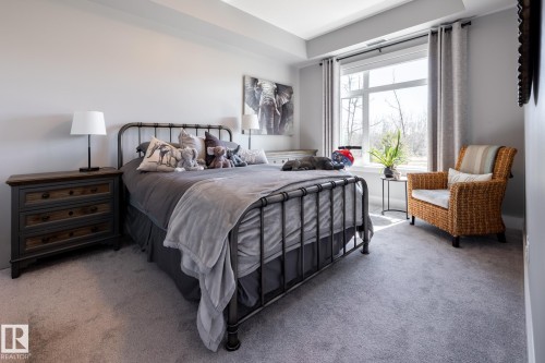 Spacious bedroom featuring light grey carpeting, recessed lighting, a large window with privacy drapes, and a contemporary iron bed frame - 108 7463 May Common, Edmonton, AB - Indoor Photo Showing Bedroom