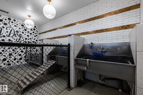 Dedicated pet washing station featuring two stainless steel tubs with sprayers and ramps - 108 7463 May Common, Edmonton, AB - Indoor Photo Showing Garage