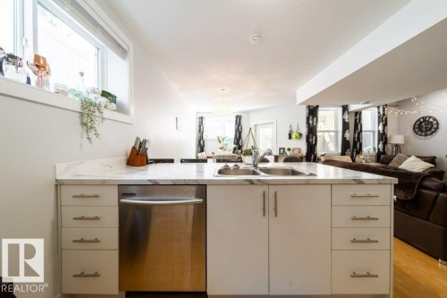 8731 85 Avenue, Edmonton, AB - Indoor Photo Showing Kitchen With Double Sink