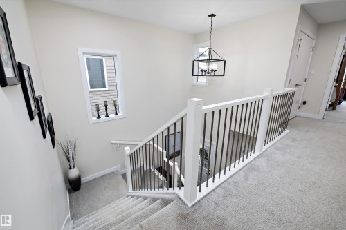 Staircase featuring light gray carpet, white banister with dark metal balusters, and a contemporary black chandelier - 82 Wingate Way, Fort Saskatchewan, AB - Indoor Photo Showing Other Room