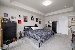 Carpeted bedroom with a tray ceiling and recessed lighting - 