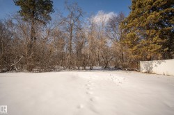 The property features a large yard with a natural tree line and a white privacy fence - 