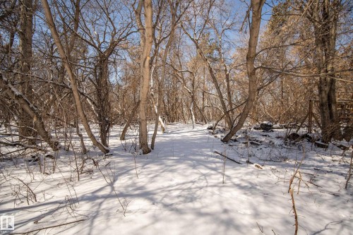 This property offers a natural setting with extensive trees and ground covered in snow - 9209 96 Street Nw, Edmonton, AB 