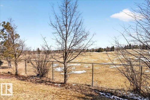 Expansive open field with scattered evergreen and deciduous trees, bordered by a chain-link fence - 18 6032 38 Avenue, Edmonton, AB - Outdoor With View