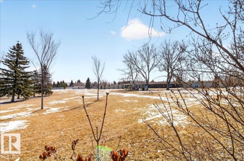 Expansive parcel featuring a large field, mature evergreen trees, and scattered deciduous trees - 18 6032 38 Avenue, Edmonton, AB - Outdoor With View
