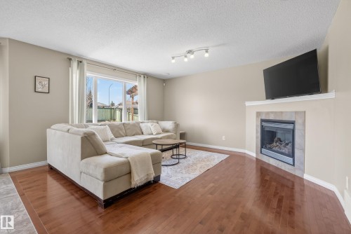 9144 207 Street, Edmonton, AB - Indoor Photo Showing Living Room With Fireplace