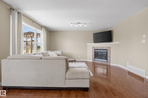 9144 207 Street, Edmonton, AB - Indoor Photo Showing Living Room With Fireplace