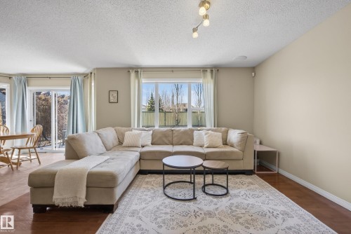 9144 207 Street, Edmonton, AB - Indoor Photo Showing Living Room