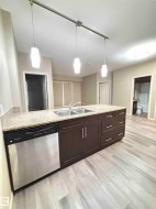 Kitchen island featuring a double basin stainless steel sink, granite countertop, dark wood cabinetry with chrome hardware, and an integrated stainless steel dishwasher - 